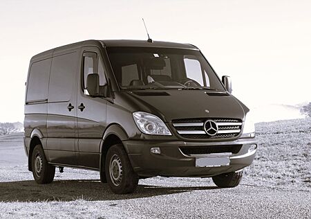 Mercedes-Benz Sprinter 315 CDI 7-Sitzer 123.000 km AHK Schwingsitz VOLL