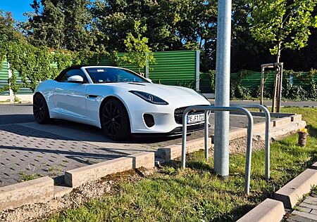 Jaguar F-Type Cabrio P300 Convertible, Top-Zust.