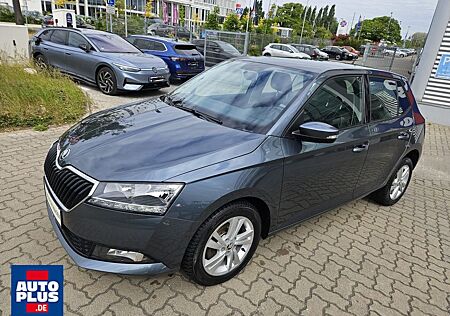 Skoda Fabia 1.0 TSI Ambition CAM+PDC+SITZHZG+1.HAND