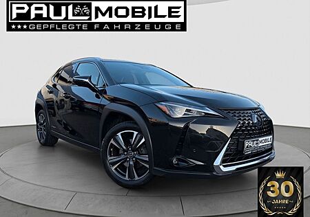 Lexus Andere UX 250 h Navi ACC LED R-Cam PDC v+h