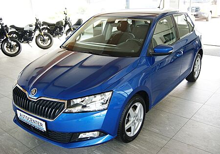 Skoda Fabia Style*LED*R-Kamer*Tempo*Sitzh*Keyless*DAB*