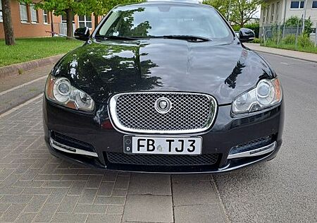 Jaguar XF 3.0 V6 Diesel Luxury Leder Beige V 6 241 PS