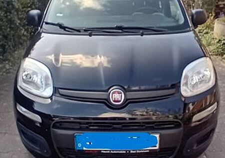Fiat Panda city life