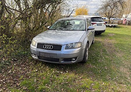 Audi A3 1.9 TDI (DPF) Ambiente---01704684029--