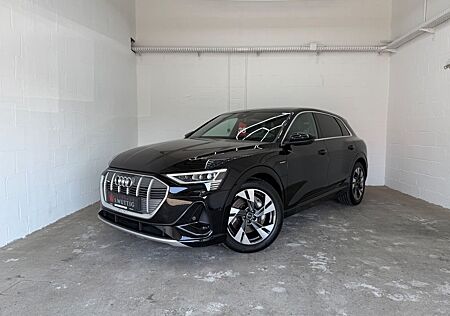 Audi e-tron 55 quattro S line+HEAD-UP+B&O+LEDER+PANO+