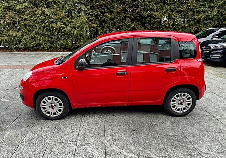Fiat Panda 1.2 Easy *1.Hand*PDC*Klima*Hagel*