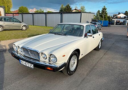 Jaguar XJ12 gebraucht kaufen Jaguar XJ12 5.3 V12 german market