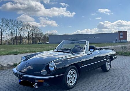 Alfa Romeo Spider 2.0 Pininfarina 115 |Note 2|Top Zustand