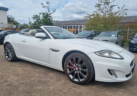 Jaguar XK 5.0 V8 Cabriolet XKR Optik*Wenig KM*Gepflegt*