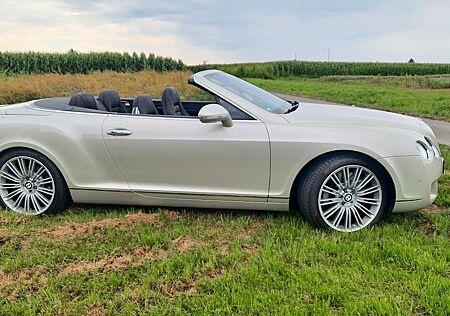 Bentley Continental GTC Speed Speed
