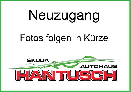 Skoda Kodiaq Clever 2.0 TDI 147 KW DSG 4x4