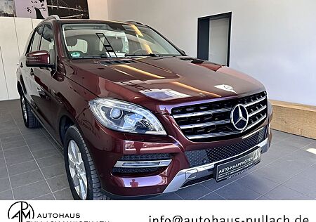 Mercedes-Benz ML 250 CDI DPF 4MATIC BlueTec Navi/AHK/EUR6