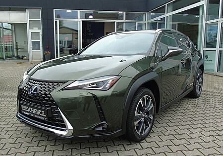 Lexus UX 250 hStyle Edition Sitzheizung vorne und Lenk