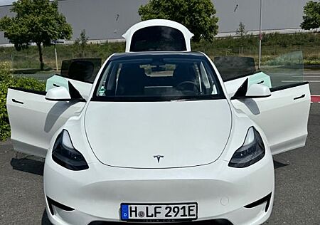Tesla Model Y SR | 02/2024 | 19.800km | BYD-Akku
