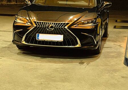 Lexus ES 300 ES 300h Luxury Line