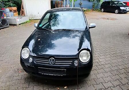 VW Lupo gebraucht kaufen VW Lupo Volkswagen 1.0 BASIS Basis