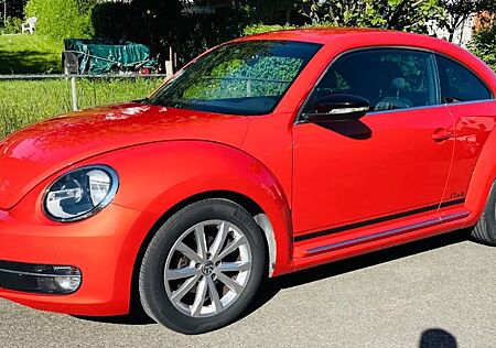 VW New Beetle Volkswagen Beetle seltene Farbe, wenig km top Zust. +Ausst.
