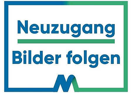 BMW 520d Touring M Sport Headup Navi H&K ATM