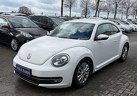 VW Beetle Volkswagen Lim. Design