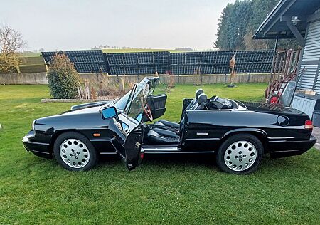 Alfa Romeo Spider