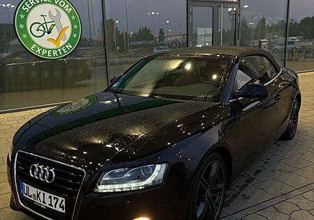 Audi A5 3.0 TDI (DPF) S tronic quattro Cabriolet -