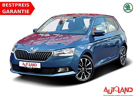 Skoda Fabia 1.0 TSI ACC Sitzheizung DAB Kamera 1.Hand
