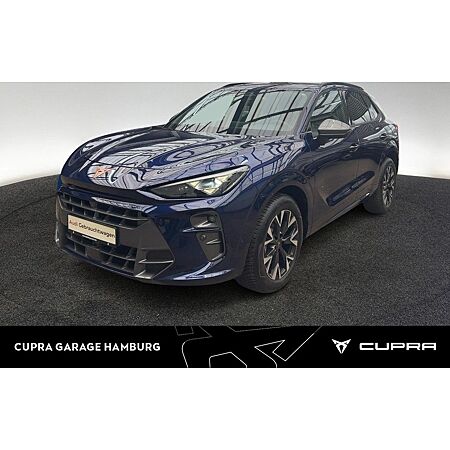 Cupra Terramar leasen