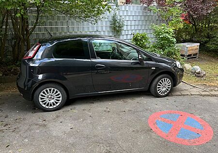 Fiat Punto 1.2 8V STREET STREET