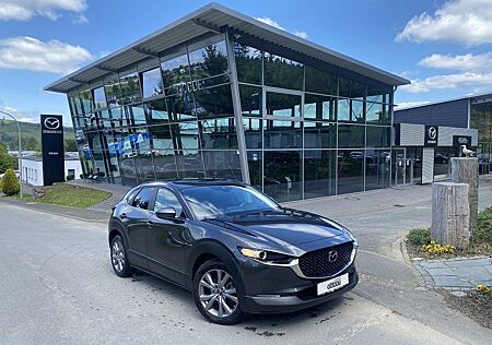 Mazda CX-30 150PS SELECTION 360° Matrix-LED