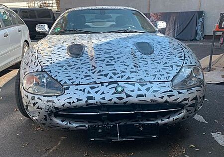 Jaguar XK 8 Coupe, Lackierung Künstler Stohead