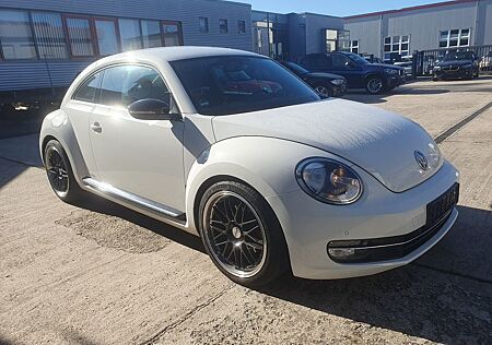 VW Beetle Volkswagen Lim. Sport