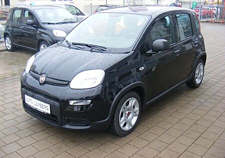Fiat Panda MY23 1.0 70cv Hybrid