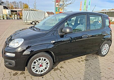 Fiat Panda 1.0 Hybrid Klima 5-türig