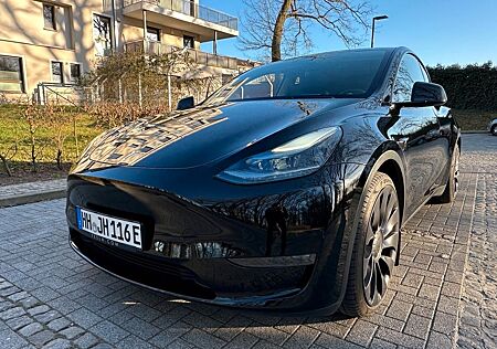 Tesla Model Y Performance Dual Motor AWD Performance