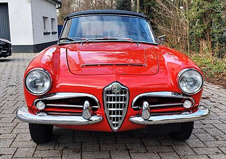 Alfa Romeo Giulia Spider 1600 veloce, TÜV neu, H-Kennz.