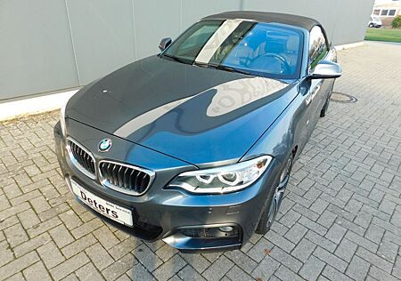 BMW 220i Cabrio M Sport+Leder+Navigation+PDC+