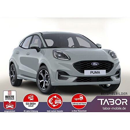 Ford Puma leasen