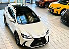 Lexus RX 350 NX 350 EXE.4 x 4-HUD-360 CAM.-INTERIORP.-PANORMA