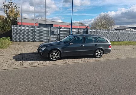 Mercedes-Benz E 220 gebraucht kaufen Mercedes-Benz E 220 CDI T ELEGANCE Elegance