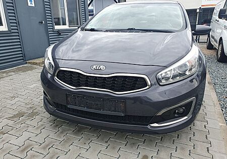 Kia ANDERE Ceed Dream Team