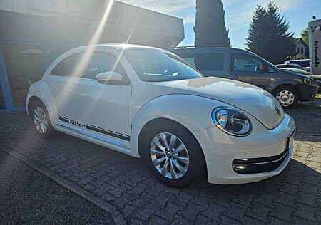 VW Beetle Volkswagen Lim. Design