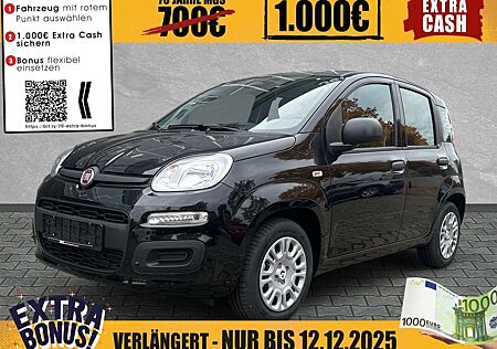 Fiat Panda Pandina POP #PDC #Klima #POP