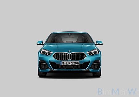 BMW 220d xD M Sport Panora HUD ACC M Sitze Alcantara