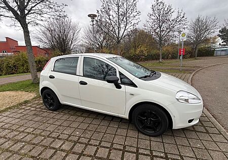 Fiat Punto 1.2 8V Klima, Einparkhilfe, 8-fach-bereift