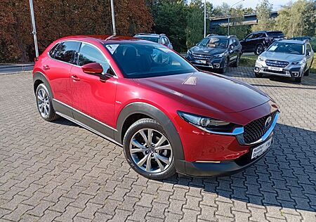 Mazda CX-30 L SKYACTIV X 2,0 M Hybrid AWD SELEKTION