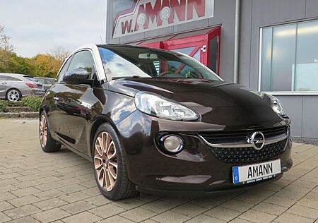 Opel Adam Glam, Pano, Top