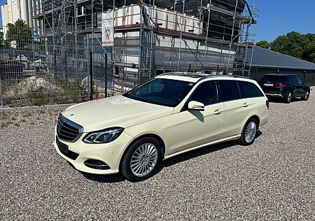 Mercedes-Benz E 220 BlueTEC ELEGANCE,Schwarz, Folie