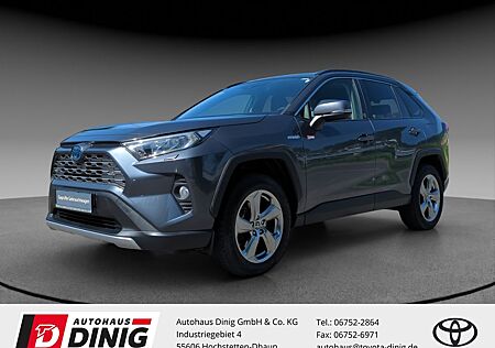Toyota RAV 4 Hybrid 4x4 Team Deutschland 2.5 LM Navi LE
