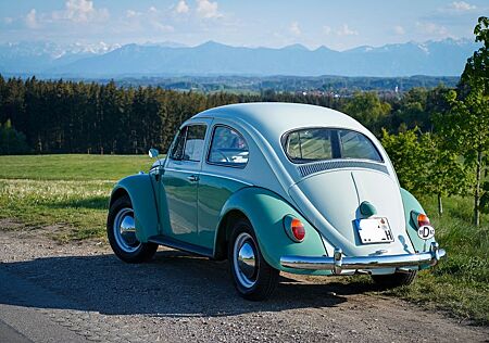 VW Käfer Volkswagen