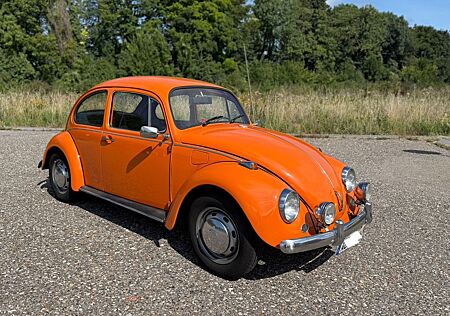 VW Käfer Volkswagen 1200